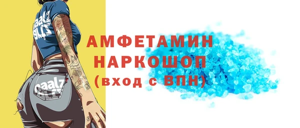 МДПВ Дмитриев