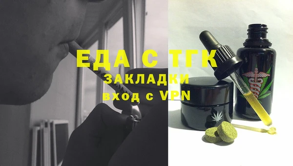МДПВ Дмитриев