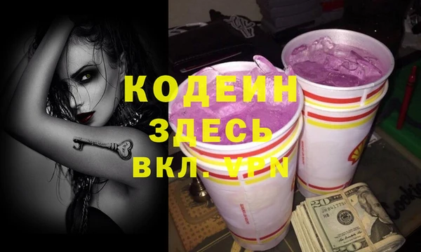МДПВ Дмитриев