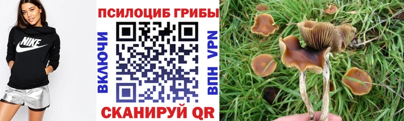 Галлюциногенные грибы ЛСД  Краснознаменск 